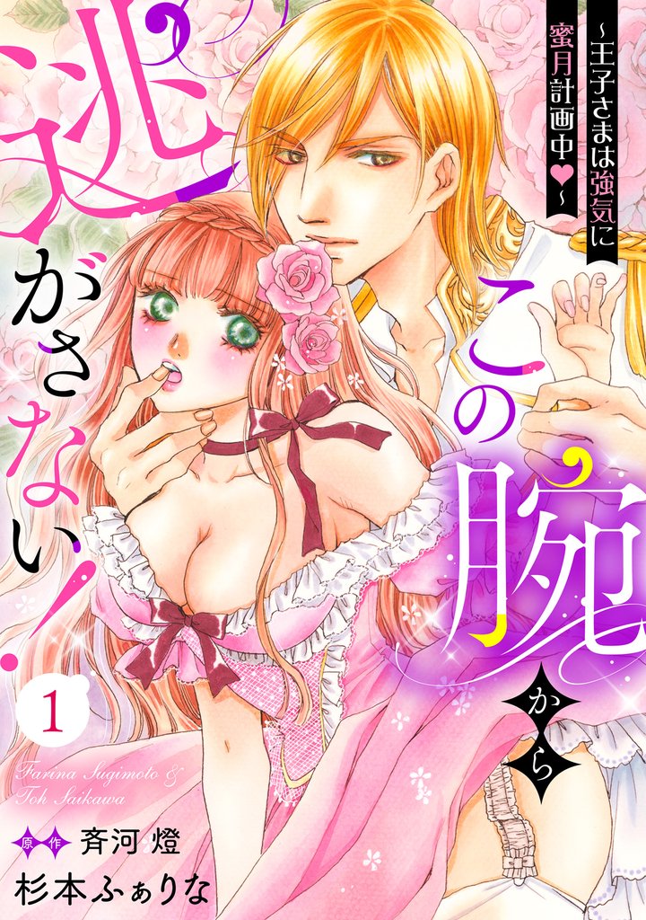 この腕から逃がさない！～王子さまは強気に蜜月計画中～【分冊版】1