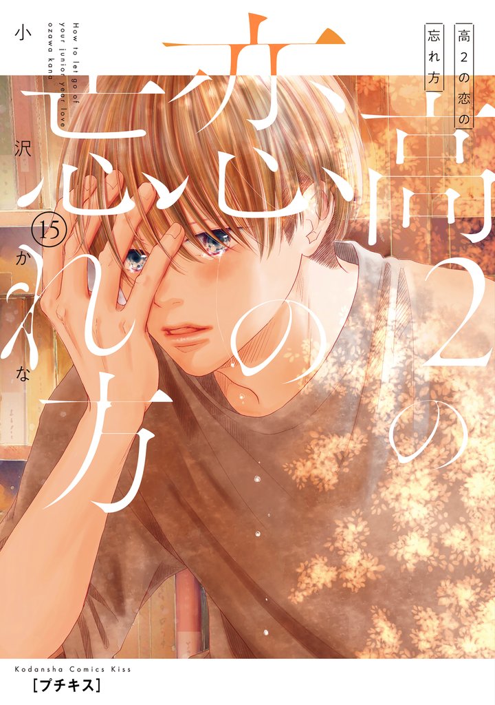 高2の恋の忘れ方 プチキス(15)