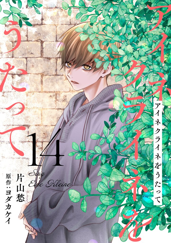 アイネクライネをうたって 14 冊セット 最新刊まで