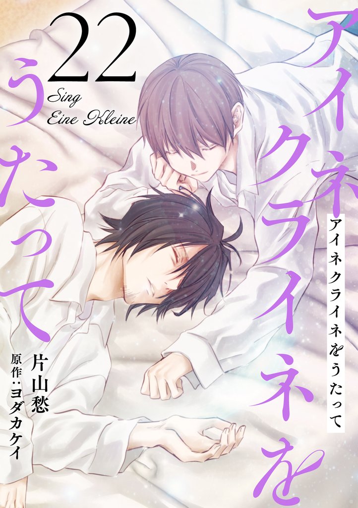 アイネクライネをうたって 22 冊セット 全巻