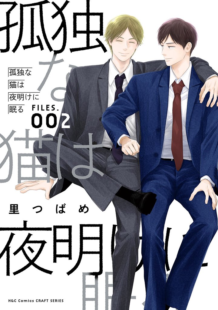 孤独な猫は夜明けに眠る 2 冊セット 最新刊まで