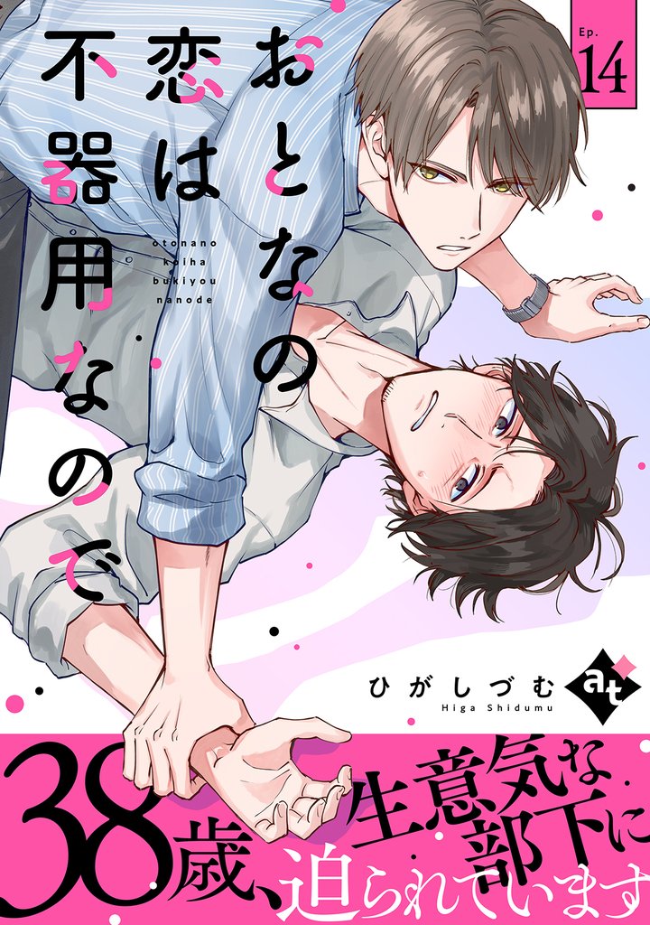 おとなの恋は不器用なので 15 冊セット 最新刊まで