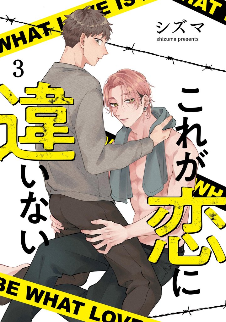 これが恋に違いない（分冊版）　【第3話】