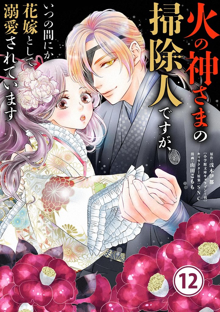 火の神さまの掃除人ですが、いつの間にか花嫁として溺愛されています【単話】（１２）