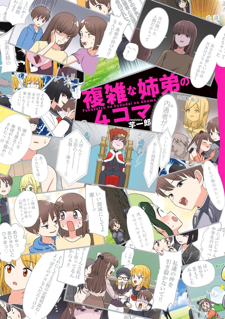 複雑な姉弟の４コマ