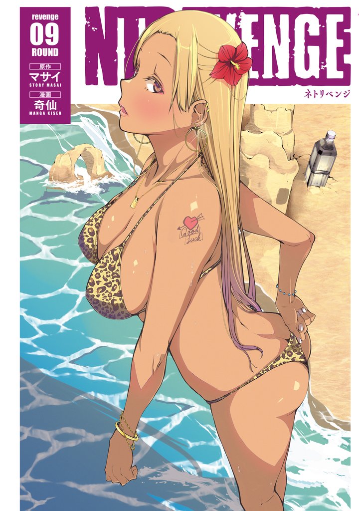 ＮＴＲＥＶＥＮＧＥ 9 冊セット 最新刊まで