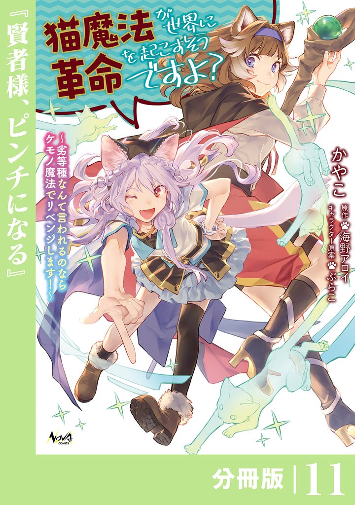 猫魔法が世界に革命を起こすそうですよ？【分冊版】（ノヴァコミックス）１１