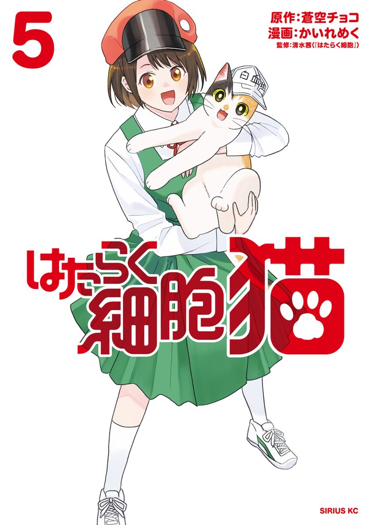 はたらく細胞　猫（５）