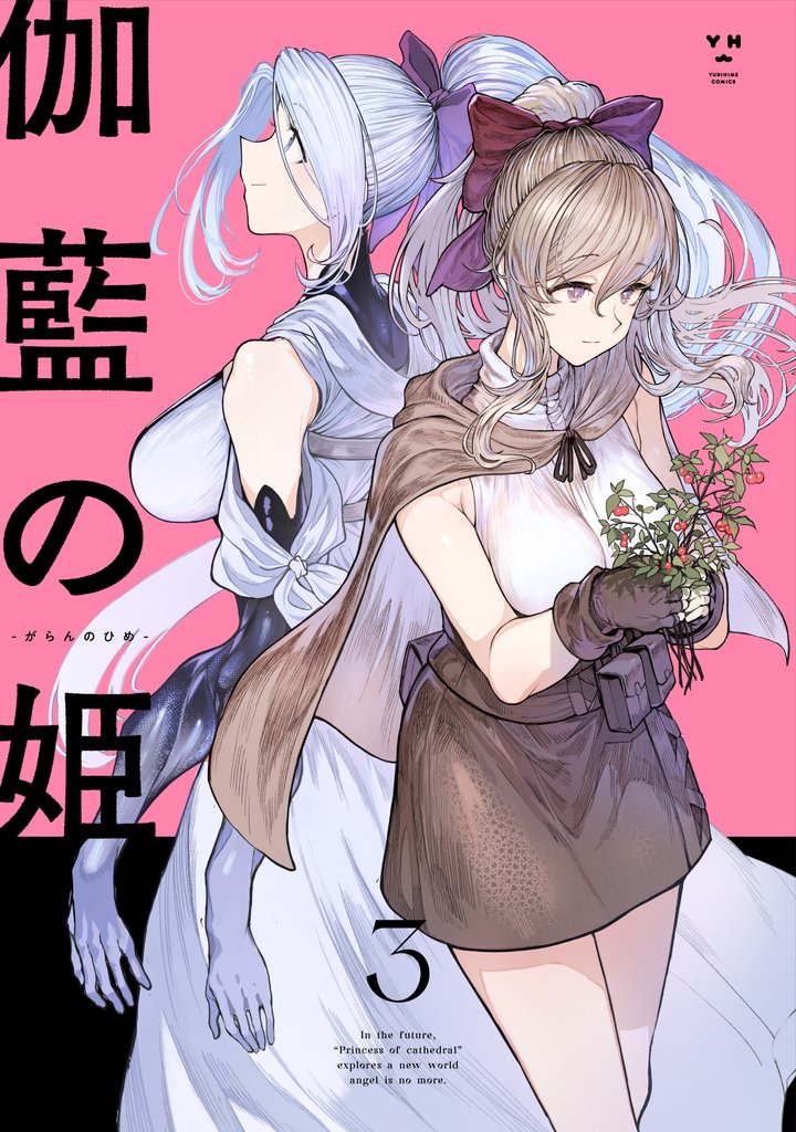 伽藍の姫 -がらんのひめ- 3 冊セット 全巻