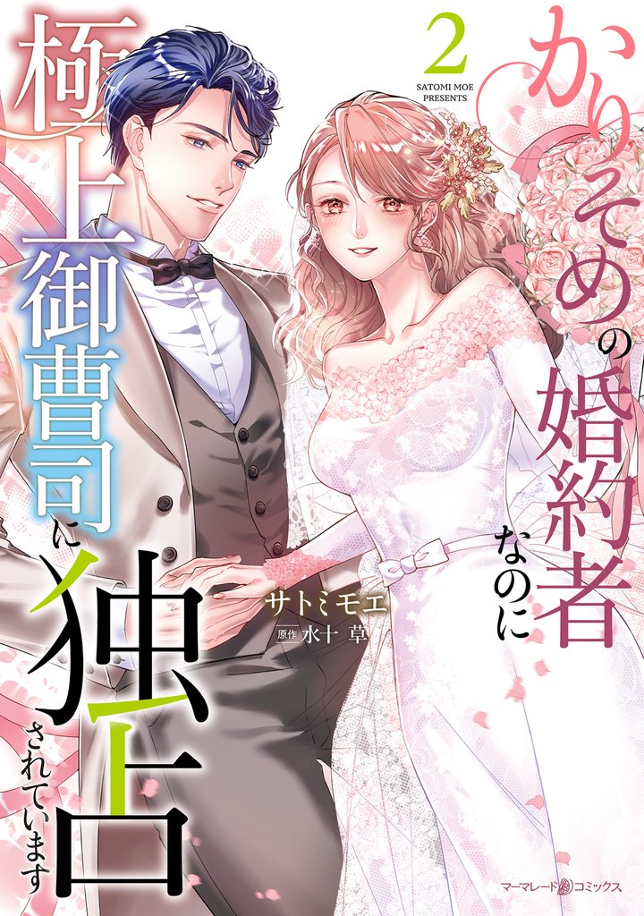 かりそめの婚約者なのに極上御曹司に独占されています2