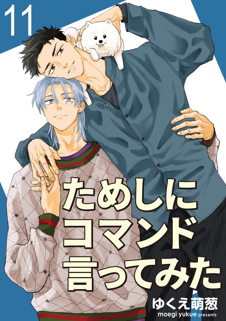 ためしにコマンド言ってみた（分冊版）　【第11話】