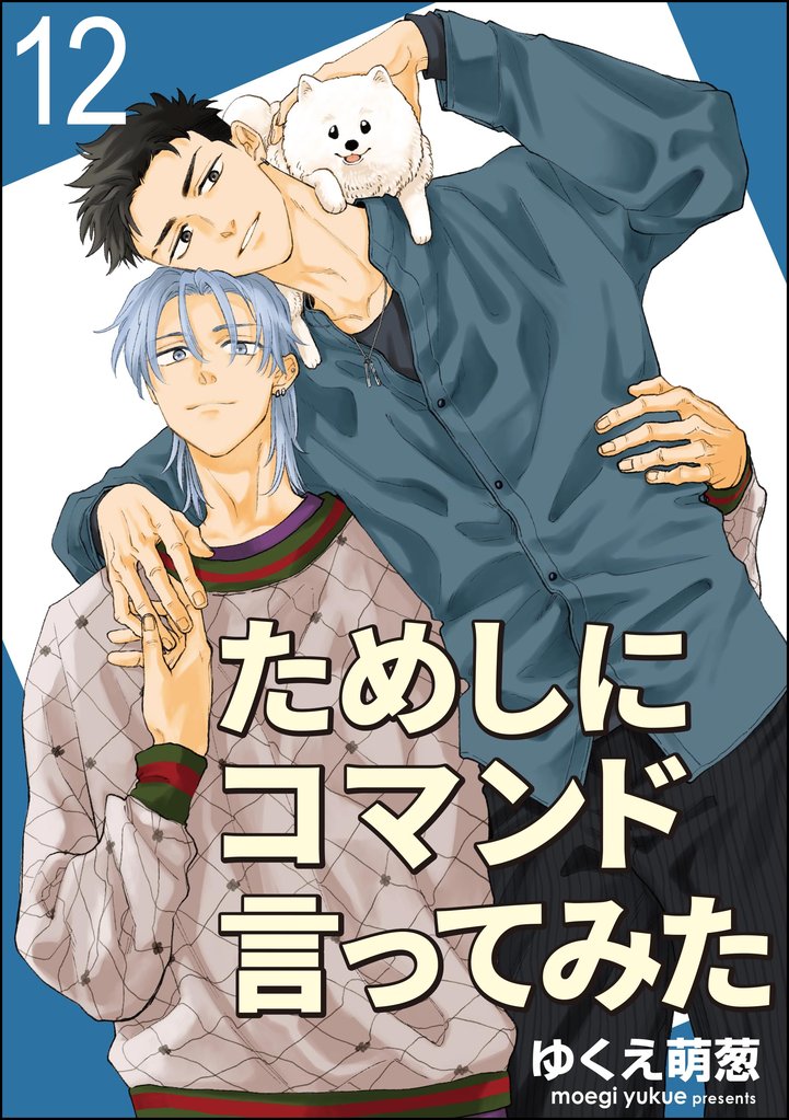 ためしにコマンド言ってみた(分冊版) 【第12話】