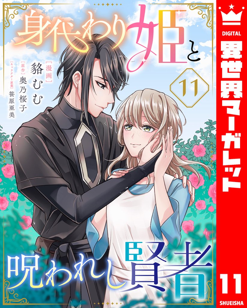 身代わり姫と呪われし賢者 11 冊セット 最新刊まで