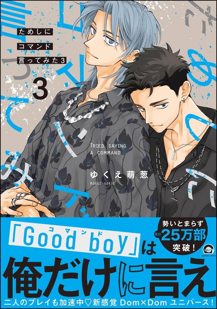 ためしにコマンド言ってみた【電子限定かきおろし漫画付】 (3)