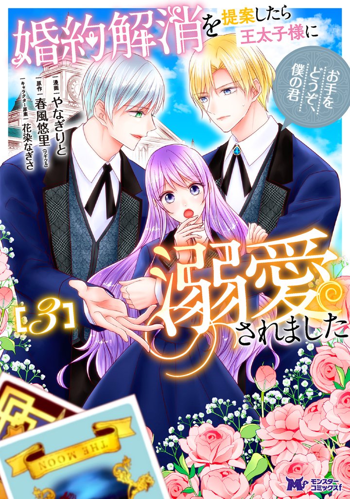婚約解消を提案したら王太子様に溺愛されました ～お手をどうぞ、僕の君～（コミック） 3