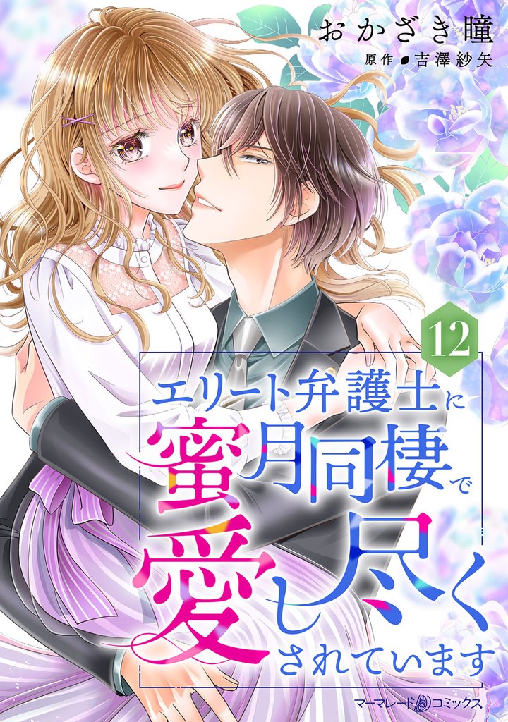 エリート弁護士に蜜月同棲で愛し尽くされています【分冊版】 12 冊セット 全巻