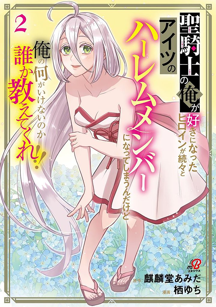 聖騎士の俺が好きになったヒロインが続々とアイツのハーレムメンバーになってしまうんだけど俺の何がいけないのか誰か教えてくれ!! (2)