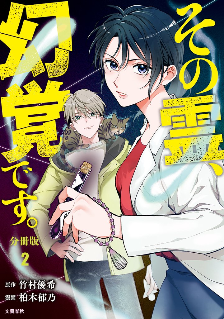 【分冊版】その霊、幻覚です。(2)