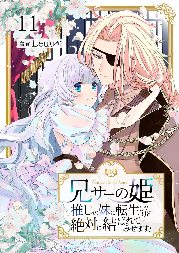 兄サーの姫～推しの妹に転生したけど、絶対に結ばれてみせます！～ 11
