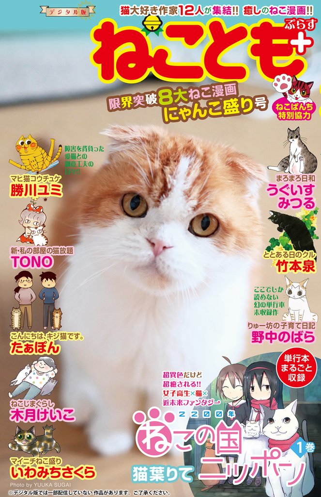 ねことも＋ 3 冊セット 最新刊まで