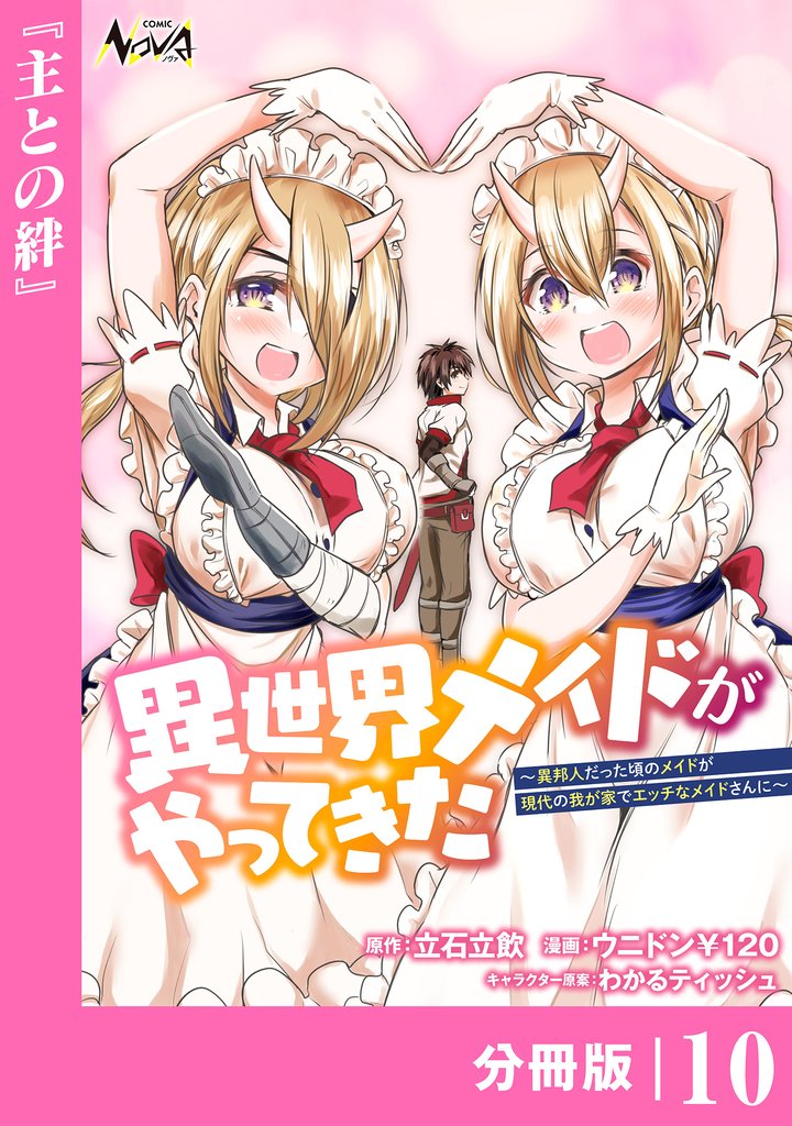 異世界メイドがやってきた~異邦人だった頃のメイドが現代の我が家でエッチなメイドさんに~【分冊版】(ノヴァコミックス)10