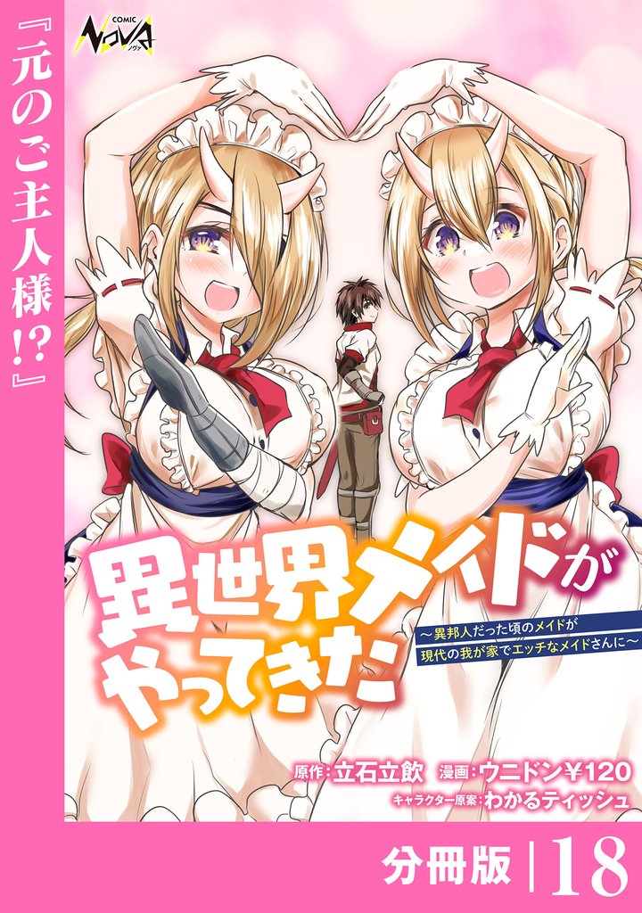 異世界メイドがやってきた~異邦人だった頃のメイドが現代の我が家でエッチなメイドさんに~【分冊版】(ノヴァコミックス)18