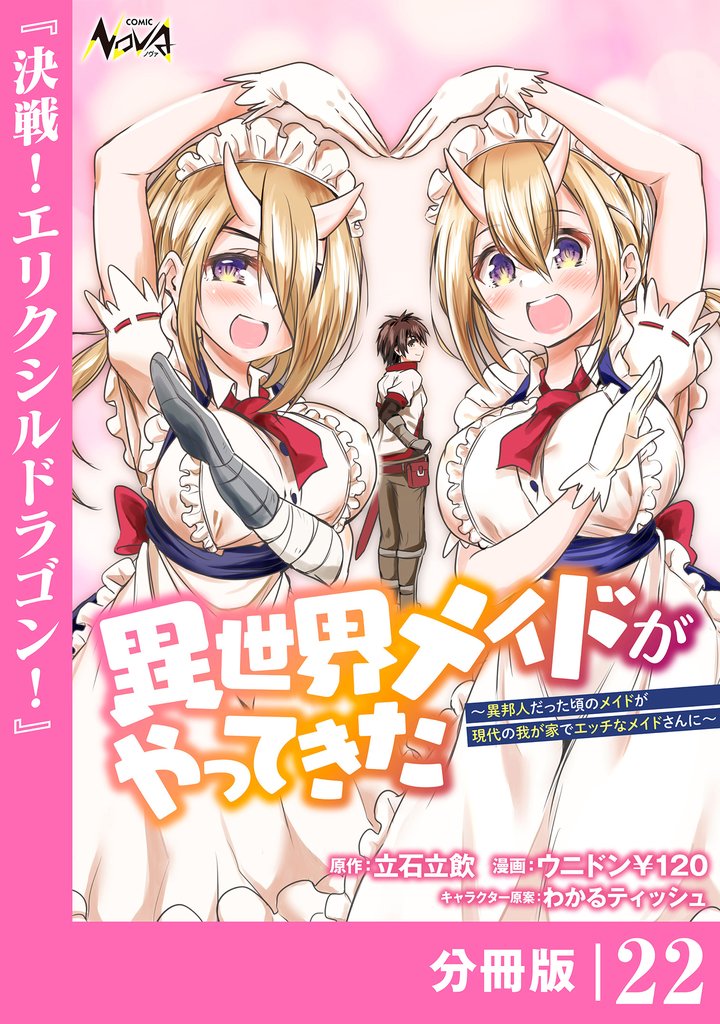 異世界メイドがやってきた～異邦人だった頃のメイドが現代の我が家でエッチなメイドさんに～【分冊版】 22 冊セット 最新刊まで