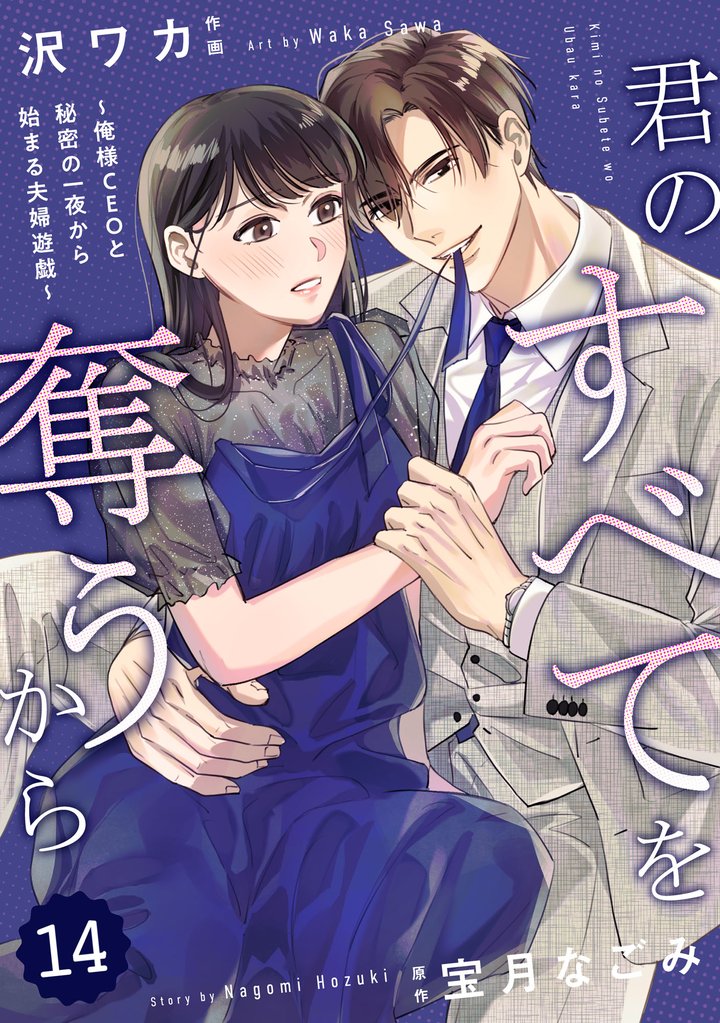 comic Berry’s君のすべてを奪うから～俺様CEOと秘密の一夜から始まる夫婦遊戯～14巻