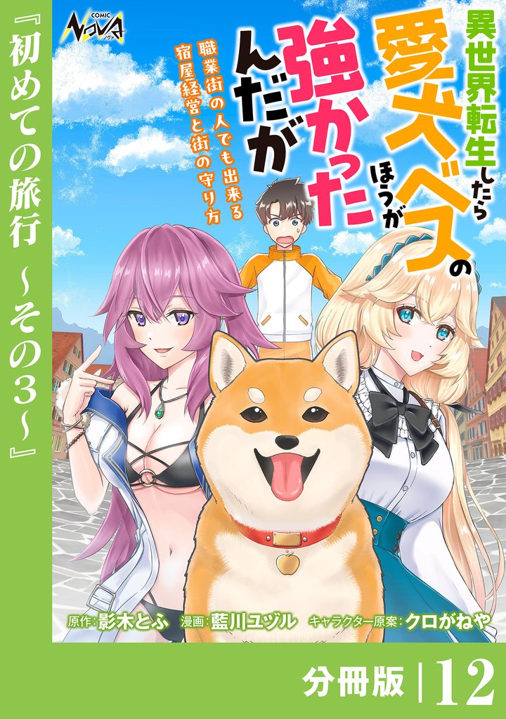異世界転生したら愛犬ベスのほうが強かったんだが~職業街の人でも出来る宿屋経営と街の守り方~【分冊版】(ノヴァコミックス)12