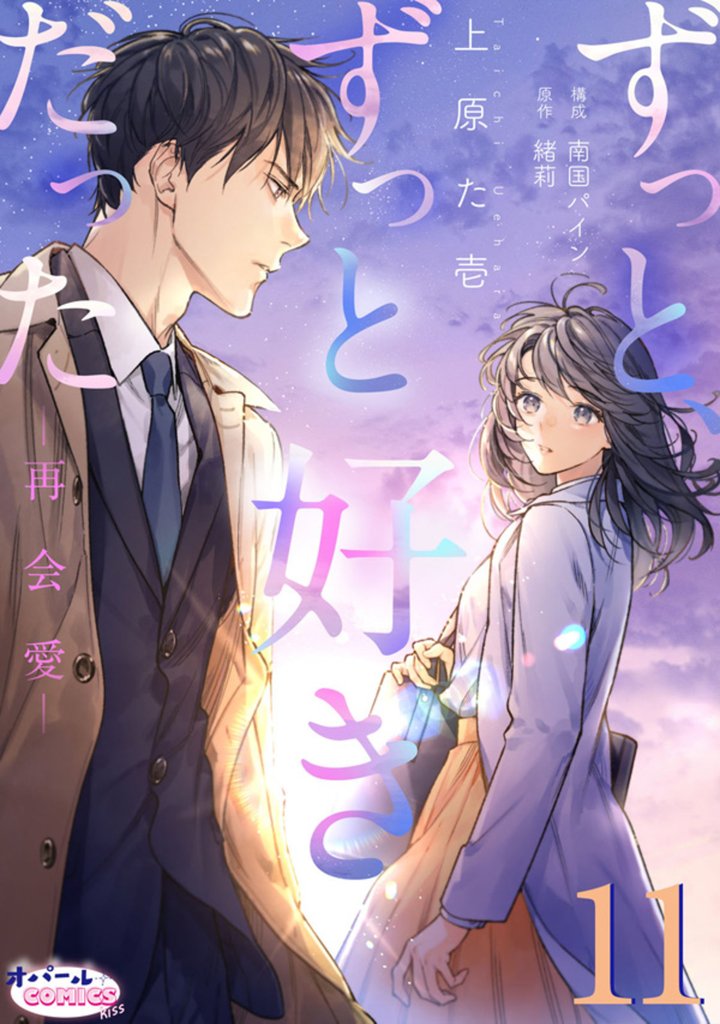 ずっと、ずっと好きだった―再会愛― 11 冊セット 最新刊まで