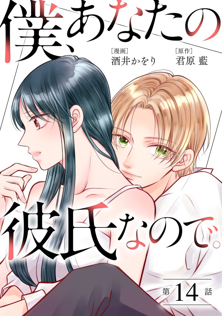 僕、あなたの彼氏なので。 分冊版 14 冊セット 最新刊まで