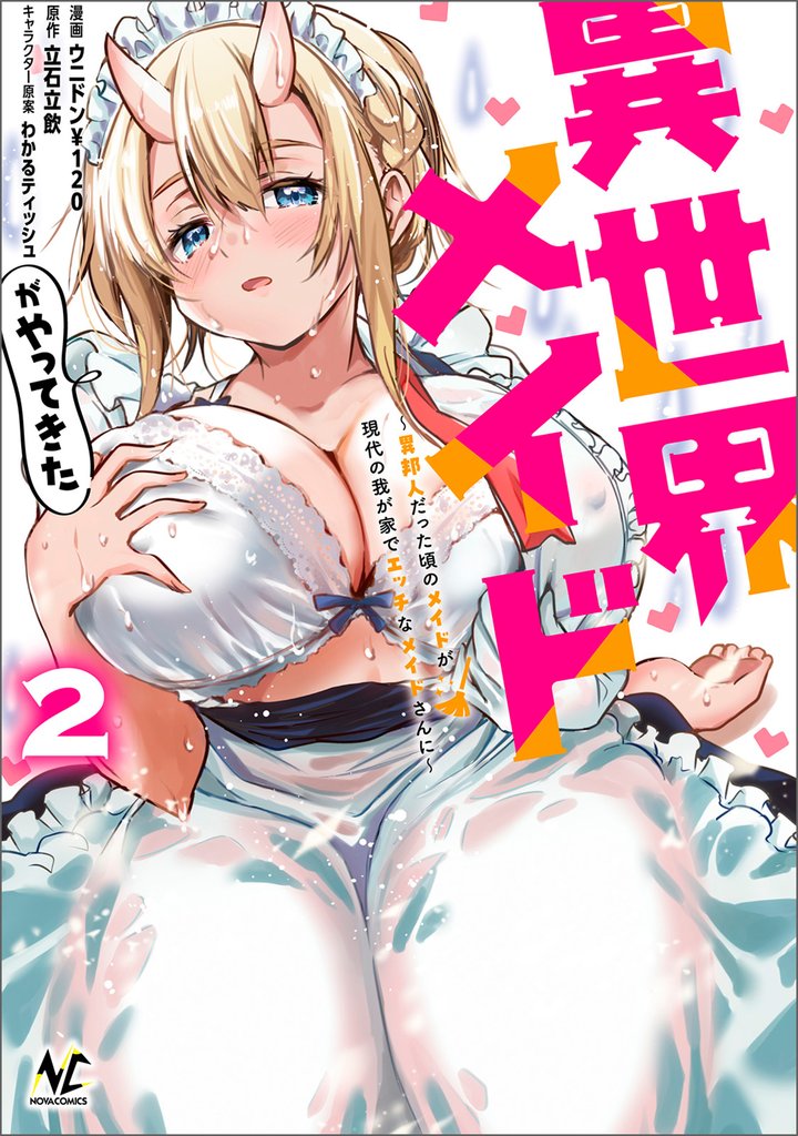 異世界メイドがやってきた~異邦人だった頃のメイドが現代の我が家でエッチなメイドさんに~(ノヴァコミックス)2
