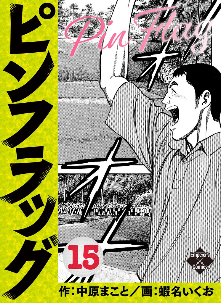 ピンフラッグ 15