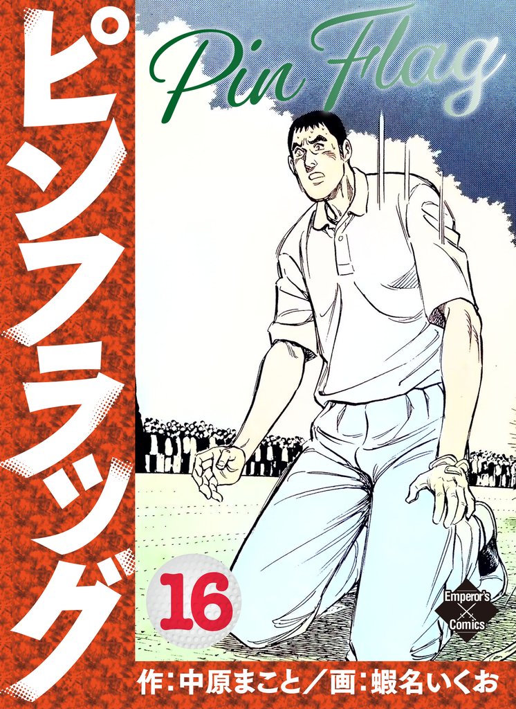 ピンフラッグ 16 冊セット 最新刊まで