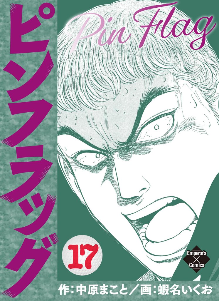 ピンフラッグ 17
