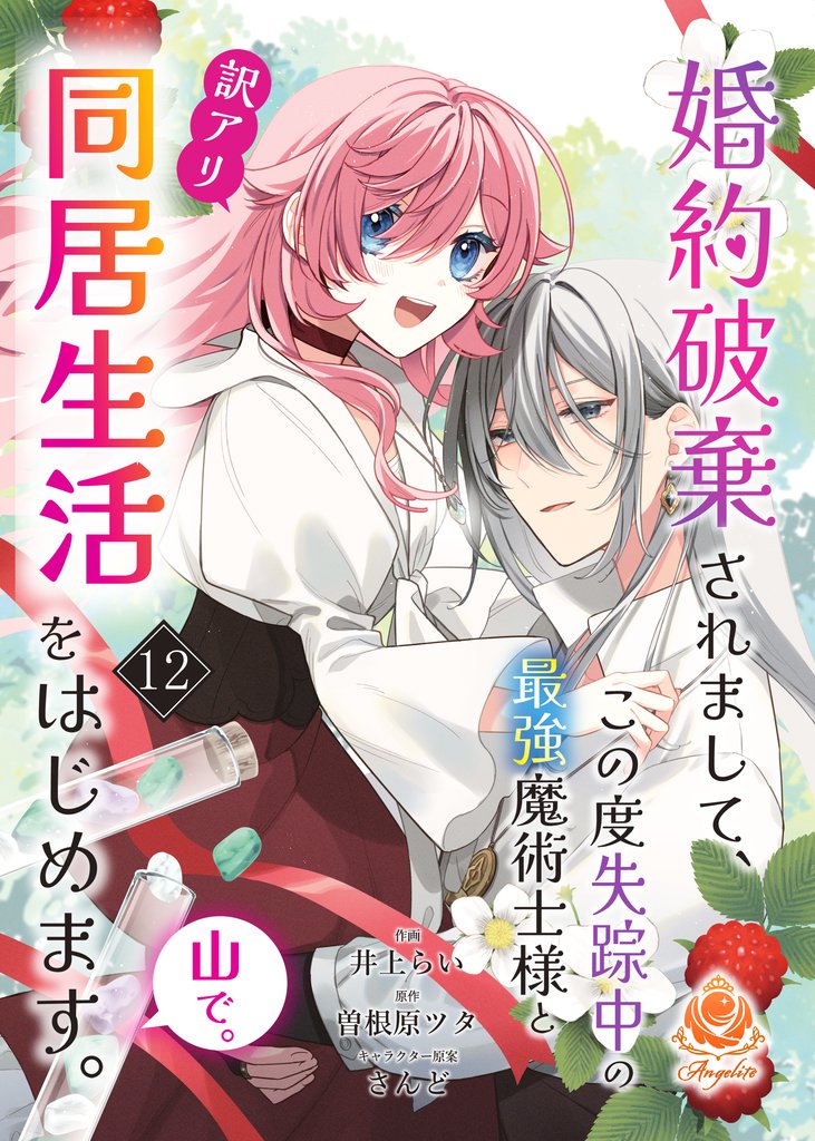 婚約破棄されまして、この度失踪中の最強魔術士様と訳アリ同居生活をはじめます。山で。 12 冊セット 全巻