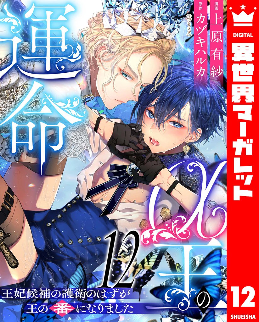 α王の運命~王妃候補の護衛のはずが王の番になりました~ 12