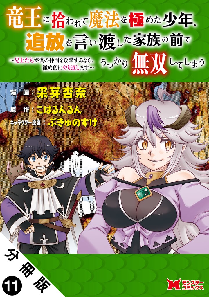 竜王に拾われて魔法を極めた少年、追放を言い渡した家族の前でうっかり無双してしまう～兄上たちが僕の仲間を攻撃するなら、徹底的にやり返します～（コミック） 分冊版 11