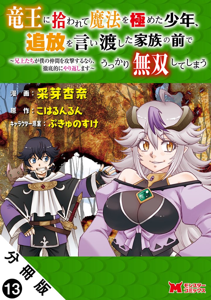 竜王に拾われて魔法を極めた少年、追放を言い渡した家族の前でうっかり無双してしまう～兄上たちが僕の仲間を攻撃するなら、徹底的にやり返します～（コミック） 分冊版 13 冊セット 最新刊まで