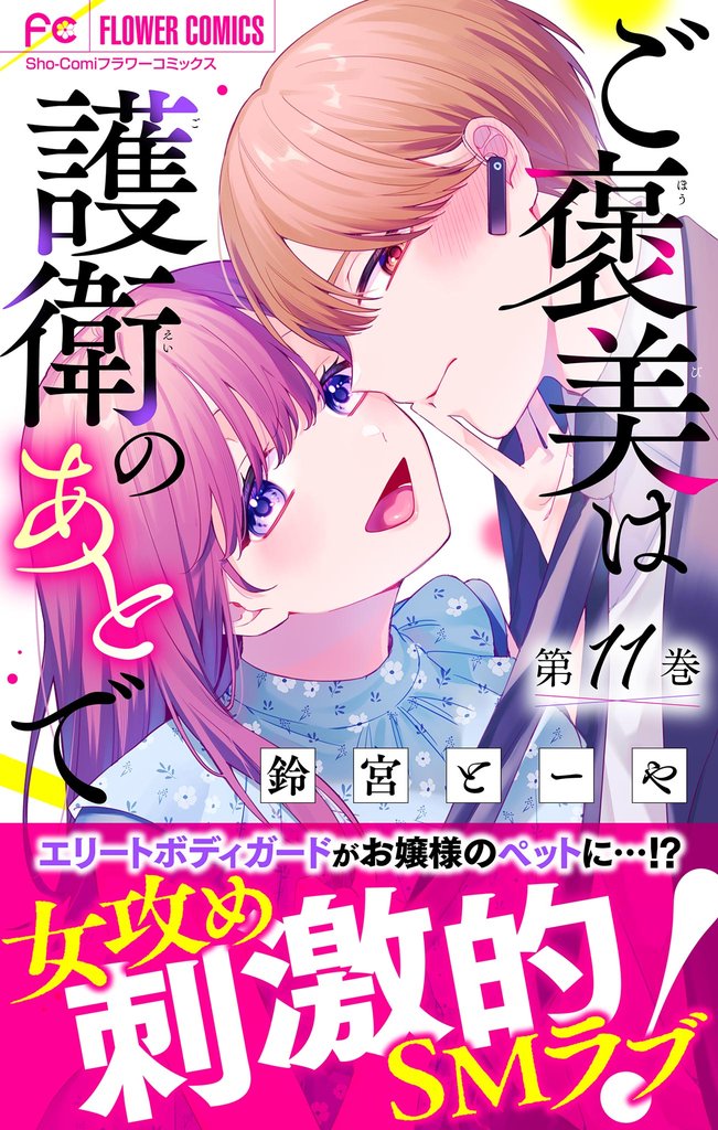 ご褒美は護衛のあとで【マイクロ】(11)