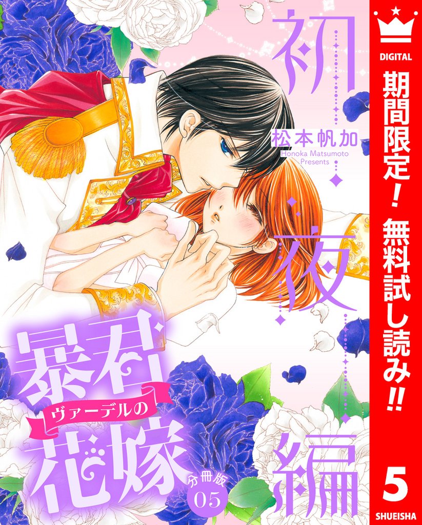 【分冊版】暴君ヴァーデルの花嫁 初夜編【期間限定無料】 5