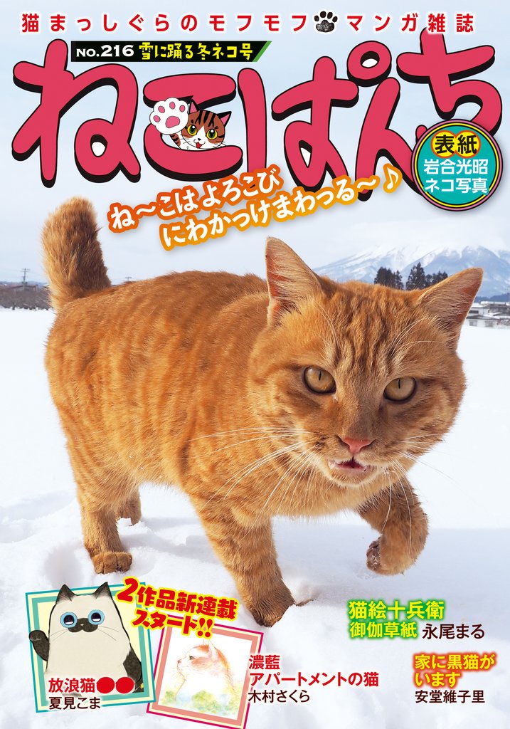 ねこぱんちNo.216 　雪に踊る冬ネコ号