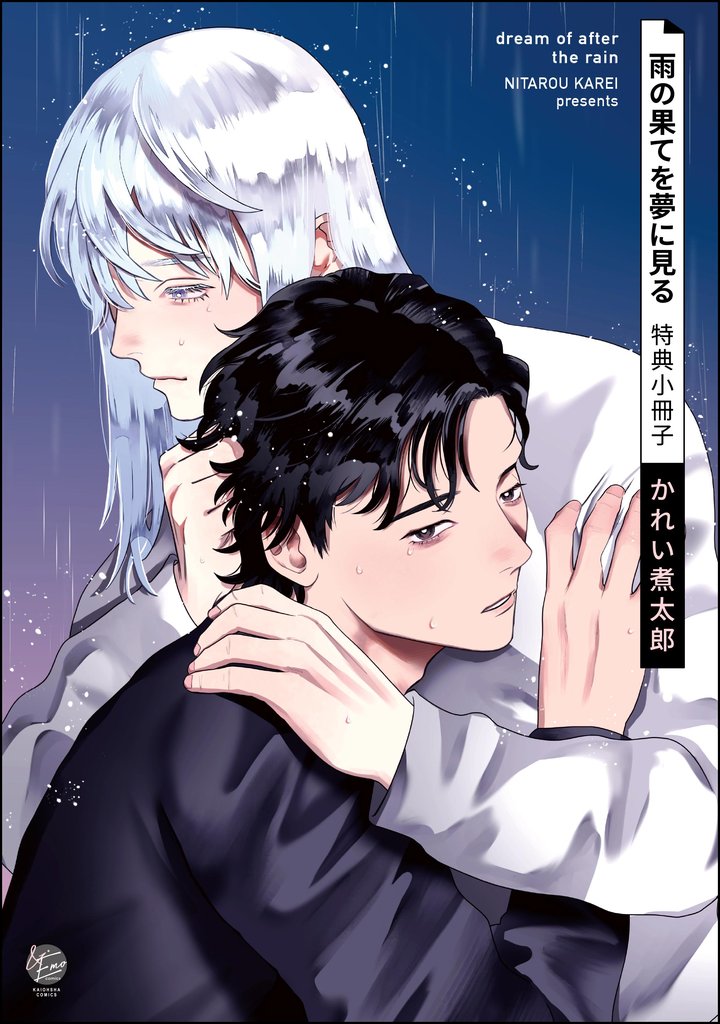 雨の果てを夢に見る特典小冊子