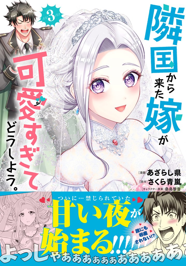 隣国から来た嫁が可愛すぎてどうしよう。(コミック)3