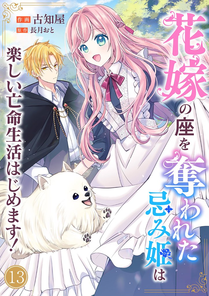 花嫁の座を奪われた忌み姫は楽しい亡命生活はじめます!13