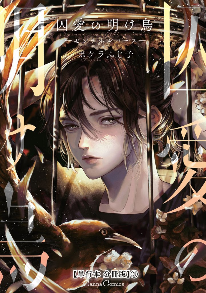 囚愛の明け烏 -センチネルバース-【単行本 分冊版】3