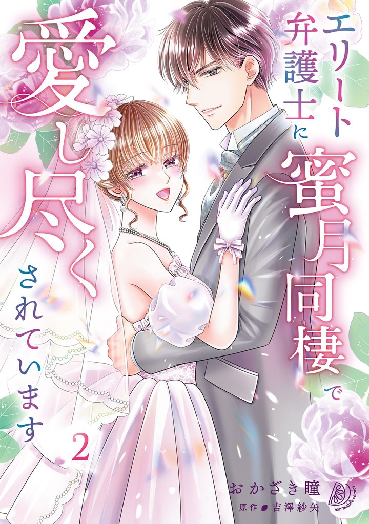エリート弁護士に蜜月同棲で愛し尽くされています 2 冊セット 全巻