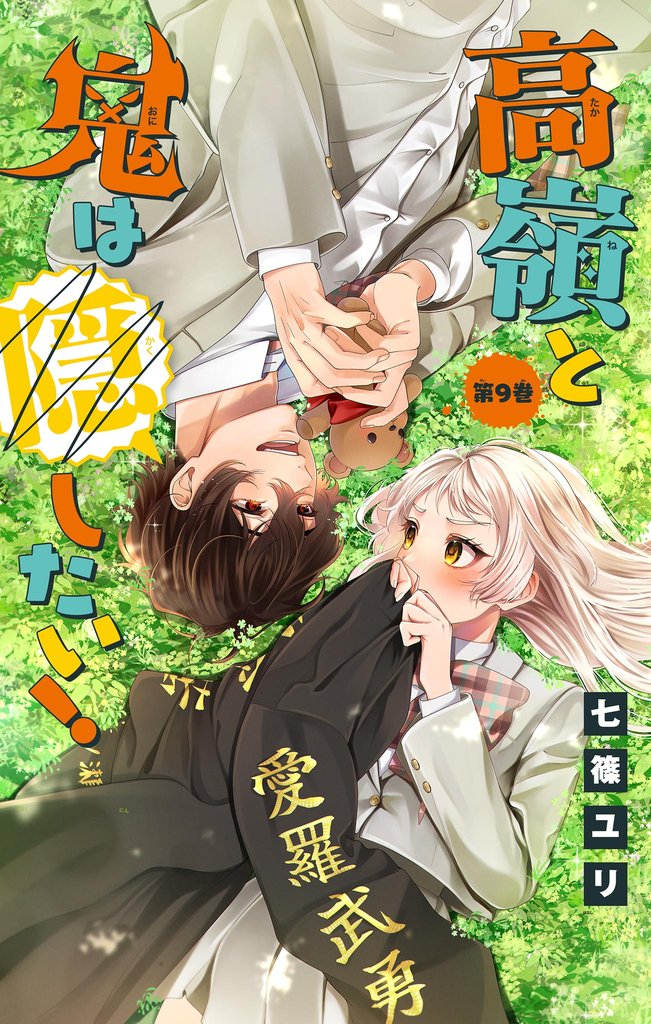 高嶺と鬼は隠したい！【マイクロ】（９）