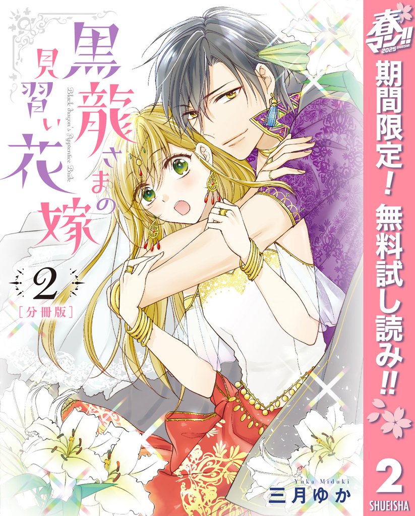 【分冊版】黒龍さまの見習い花嫁【期間限定無料】 2