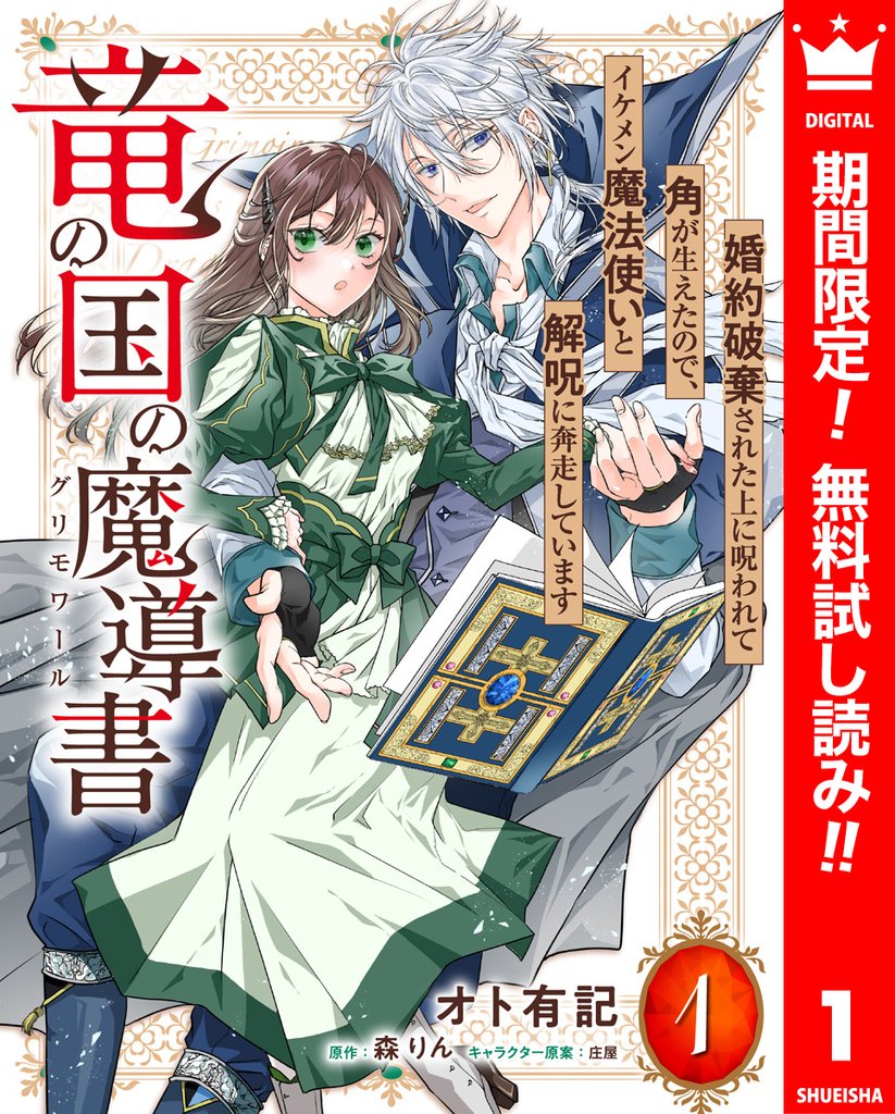 竜の国の魔導書 ~婚約破棄された上に呪われて角が生えたので、イケメン魔法使いと解呪に奔走しています~